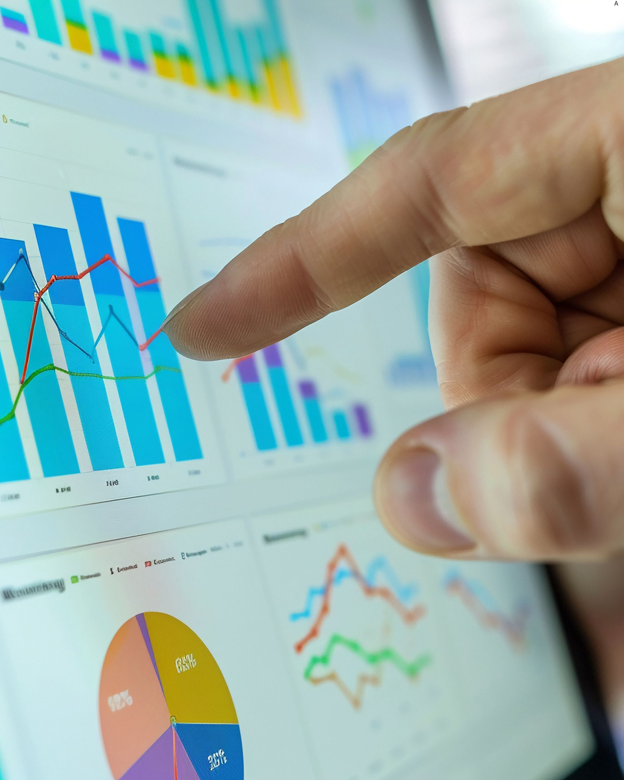 Data Excel and Web Application Optimization